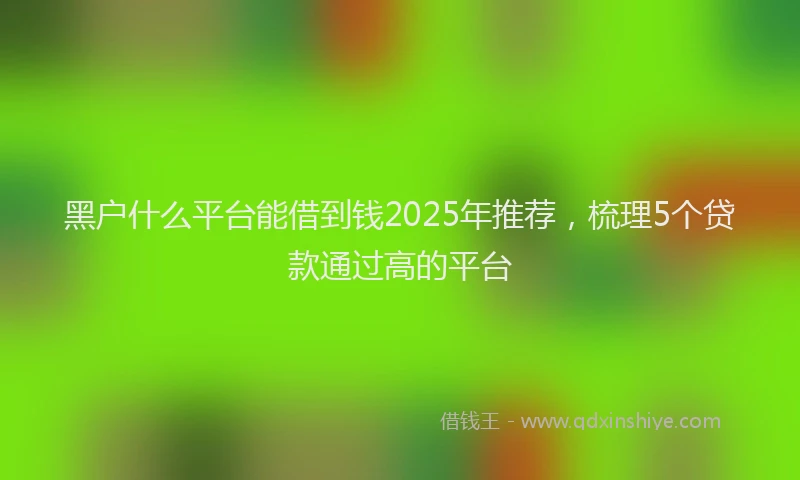 黑户什么平台能借到钱2025年推荐，梳理5个贷款通过高的平台
