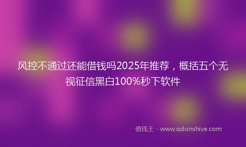 风控不通过还能借钱吗2025年推荐，概括五个无视征信黑白100%秒下软件