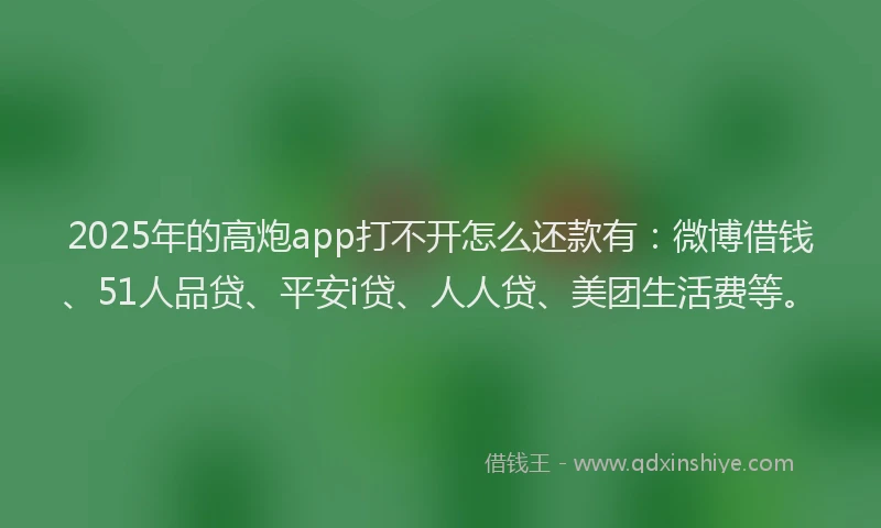 2025年的高炮app打不开怎么还款有：微博借钱、51人品贷、平安i贷、人人贷、美团生活费等。