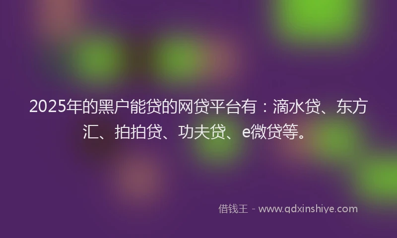 2025年的黑户能贷的网贷平台有：滴水贷、东方汇、拍拍贷、功夫贷、e微贷等。