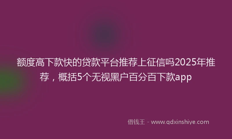 额度高下款快的贷款平台推荐上征信吗2025年推荐，概括5个无视黑户百分百下款app