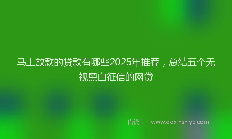 马上放款的贷款有哪些2025年推荐，总结五个无视黑白征信的网贷