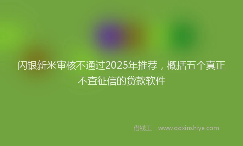 闪银新米审核不通过2025年推荐，概括五个真正不查征信的贷款软件