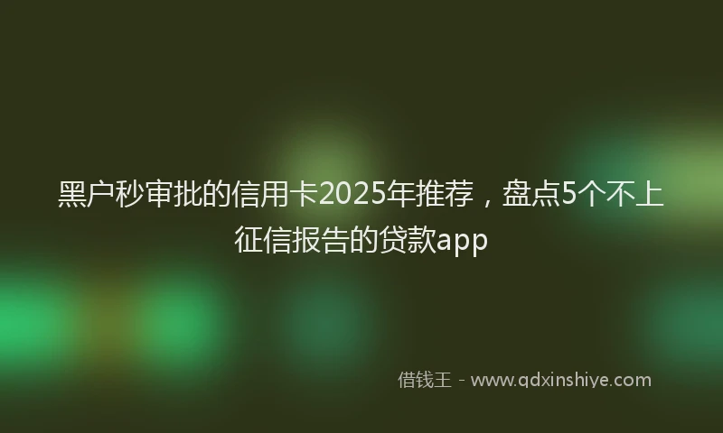 黑户秒审批的信用卡2025年推荐，盘点5个不上征信报告的贷款app