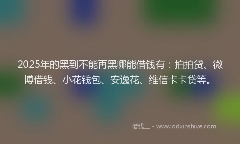 2025年的黑到不能再黑哪能借钱有：拍拍贷、微博借钱、小花钱包、安逸花、维信卡卡贷等。
