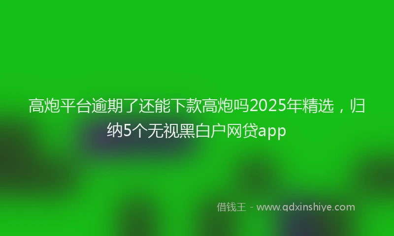 高炮平台逾期了还能下款高炮吗2025年精选，归纳5个无视黑白户网贷app