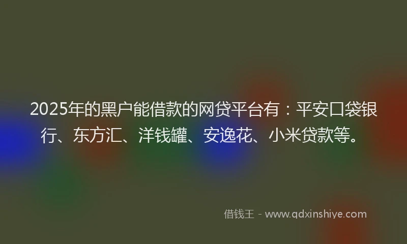 2025年的黑户能借款的网贷平台有：平安口袋银行、东方汇、洋钱罐、安逸花、小米贷款等。