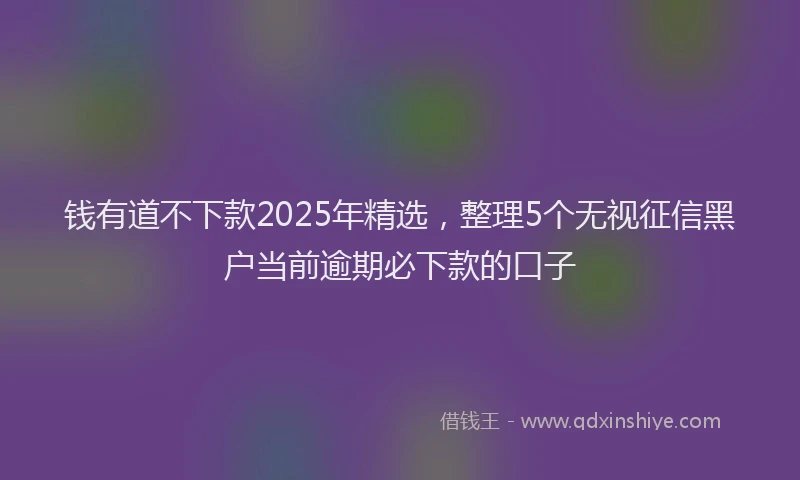 钱有道不下款2025年精选，整理5个无视征信黑户当前逾期必下款的口子