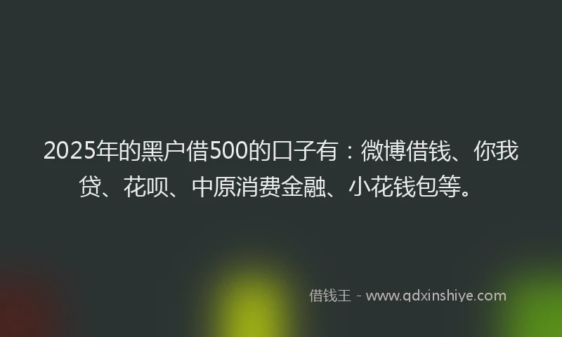 2025年的黑户借500的口子有：微博借钱、你我贷、花呗、中原消费金融、小花钱包等。