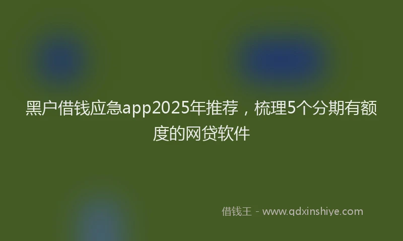黑户借钱应急app2025年推荐，梳理5个分期有额度的网贷软件