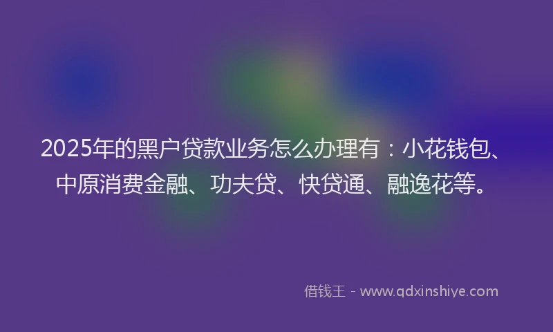 2025年的黑户贷款业务怎么办理有：小花钱包、中原消费金融、功夫贷、快贷通、融逸花等。
