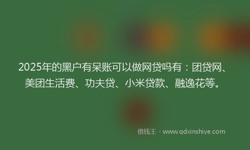 2025年的黑户有呆账可以做网贷吗有：团贷网、美团生活费、功夫贷、小米贷款、融逸花等。