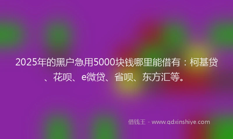 2025年的黑户急用5000块钱哪里能借有：柯基贷、花呗、e微贷、省呗、东方汇等。