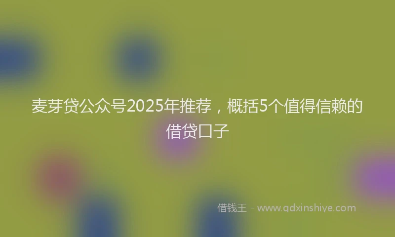 麦芽贷公众号2025年推荐，概括5个值得信赖的借贷口子