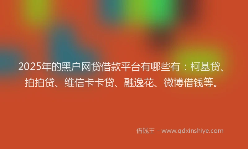 2025年的黑户网贷借款平台有哪些有：柯基贷、拍拍贷、维信卡卡贷、融逸花、微博借钱等。