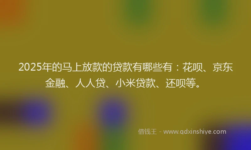 2025年的马上放款的贷款有哪些有：花呗、京东金融、人人贷、小米贷款、还呗等。