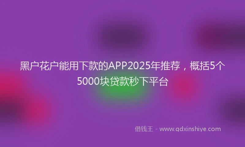 黑户花户能用下款的APP2025年推荐，概括5个5000块贷款秒下平台
