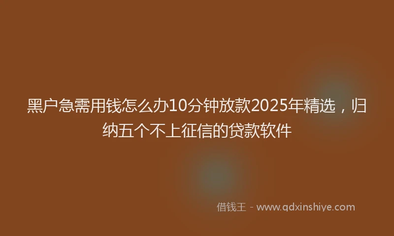 黑户急需用钱怎么办10分钟放款2025年精选，归纳五个不上征信的贷款软件