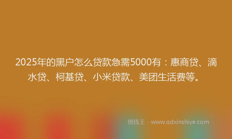 2025年的黑户怎么贷款急需5000有：惠商贷、滴水贷、柯基贷、小米贷款、美团生活费等。