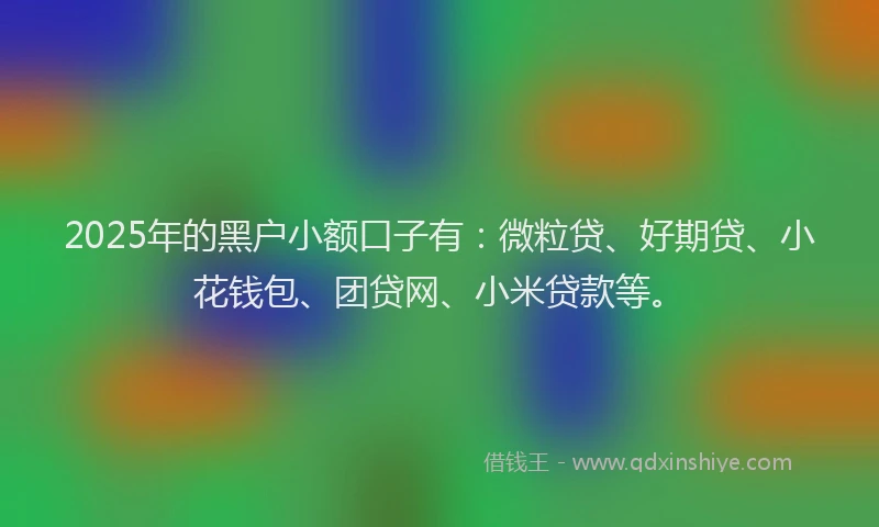 2025年的黑户小额口子有：微粒贷、好期贷、小花钱包、团贷网、小米贷款等。