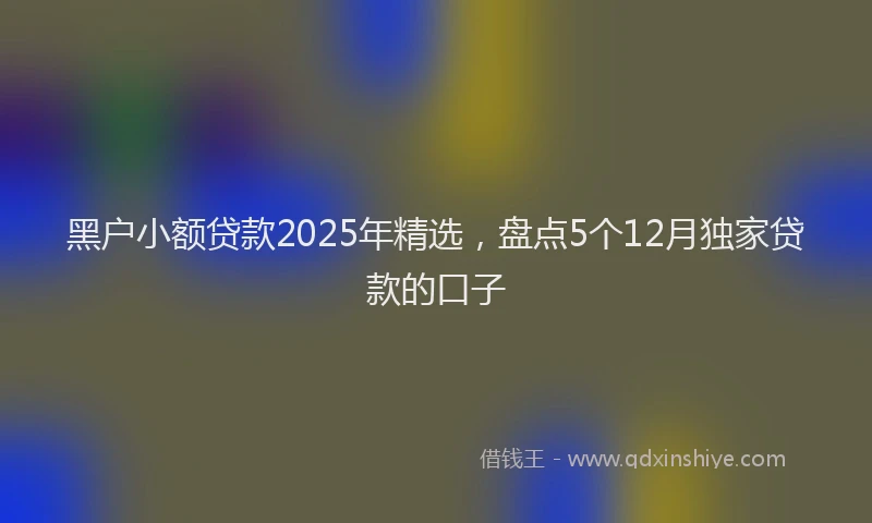 黑户小额贷款2025年精选，盘点5个12月独家贷款的口子