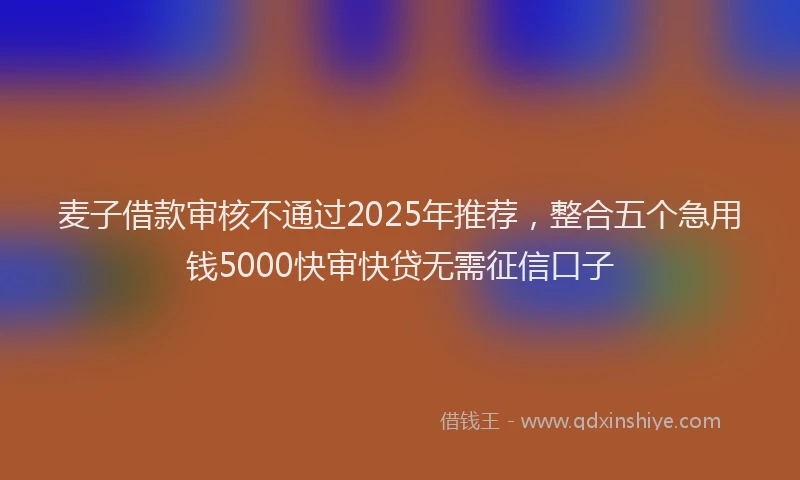 麦子借款审核不通过2025年推荐，整合五个急用钱5000快审快贷无需征信口子