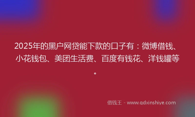 2025年的黑户网贷能下款的口子有：微博借钱、小花钱包、美团生活费、百度有钱花、洋钱罐等。
