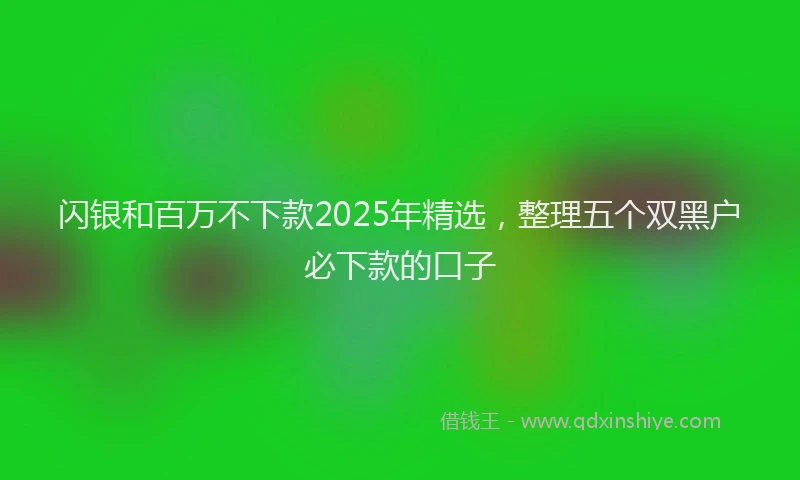 闪银和百万不下款2025年精选，整理五个双黑户必下款的口子