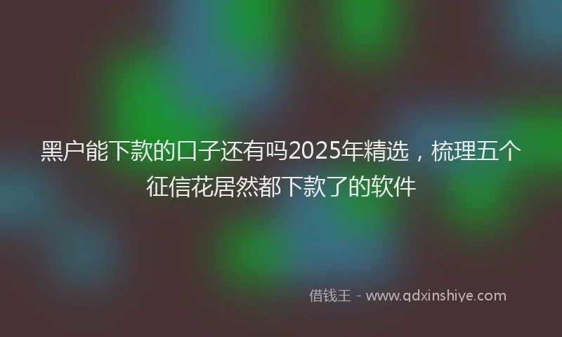 黑户能下款的口子还有吗2025年精选，梳理五个征信花居然都下款了的软件