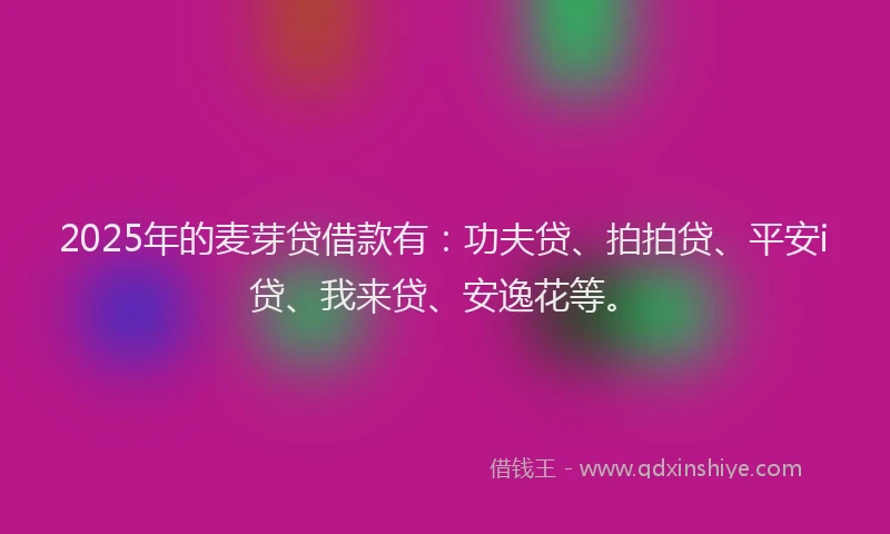 2025年的麦芽贷借款有：功夫贷、拍拍贷、平安i贷、我来贷、安逸花等。