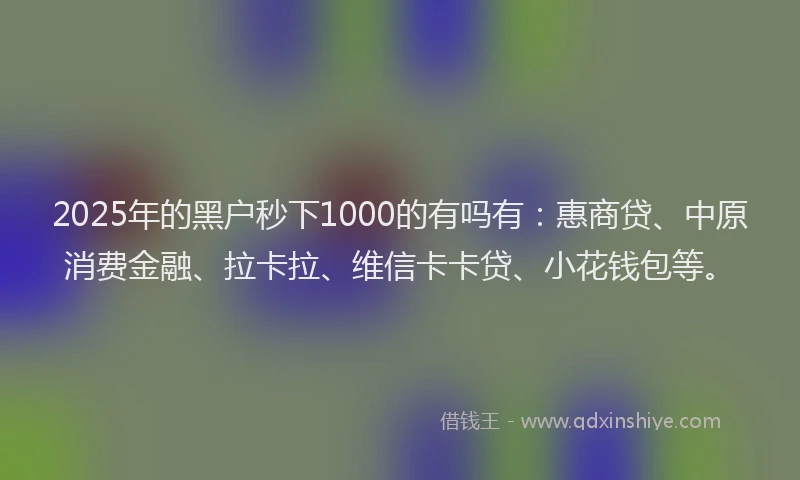 2025年的黑户秒下1000的有吗有：惠商贷、中原消费金融、拉卡拉、维信卡卡贷、小花钱包等。