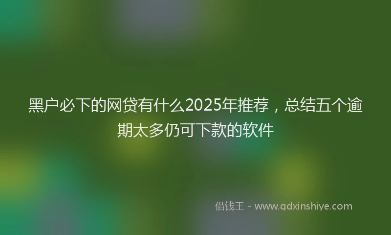黑户必下的网贷有什么2025年推荐，总结五个逾期太多仍可下款的软件