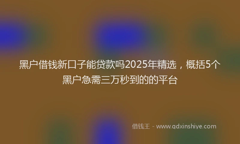 黑户借钱新口子能贷款吗2025年精选，概括5个黑户急需三万秒到的的平台