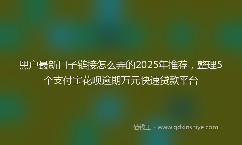 黑户最新口子链接怎么弄的2025年推荐，整理5个支付宝花呗逾期万元快速贷款平台