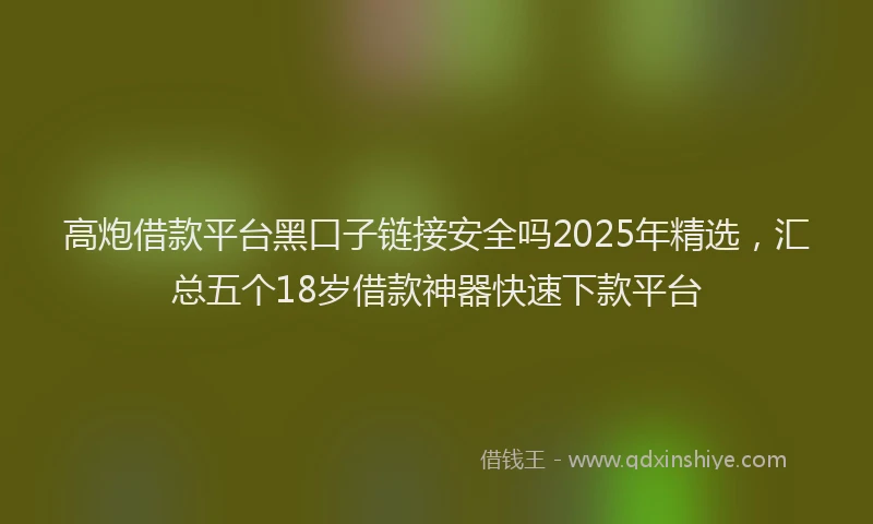 高炮借款平台黑口子链接安全吗2025年精选，汇总五个18岁借款神器快速下款平台