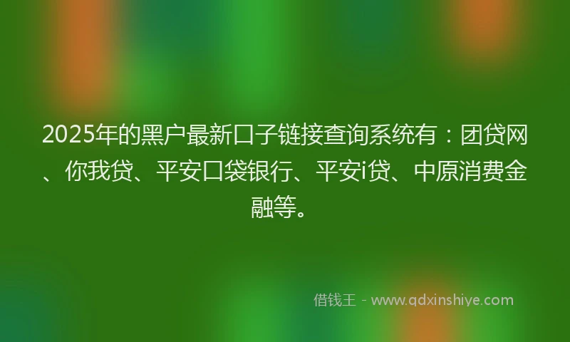 2025年的黑户最新口子链接查询系统有：团贷网、你我贷、平安口袋银行、平安i贷、中原消费金融等。