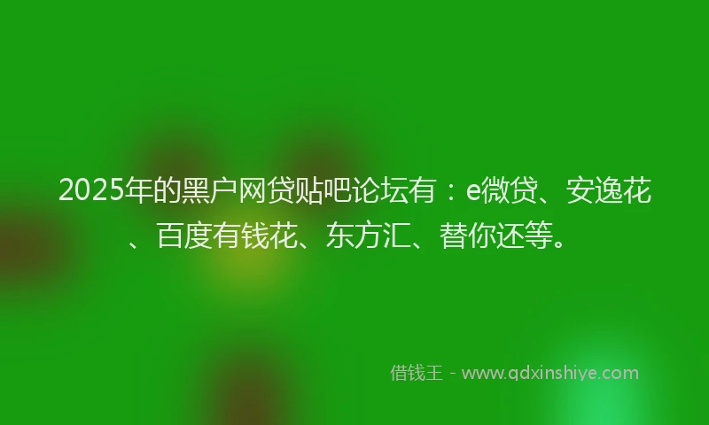 2025年的黑户网贷贴吧论坛有：e微贷、安逸花、百度有钱花、东方汇、替你还等。