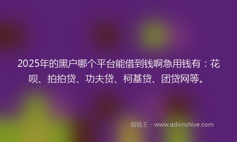 2025年的黑户哪个平台能借到钱啊急用钱有：花呗、拍拍贷、功夫贷、柯基贷、团贷网等。