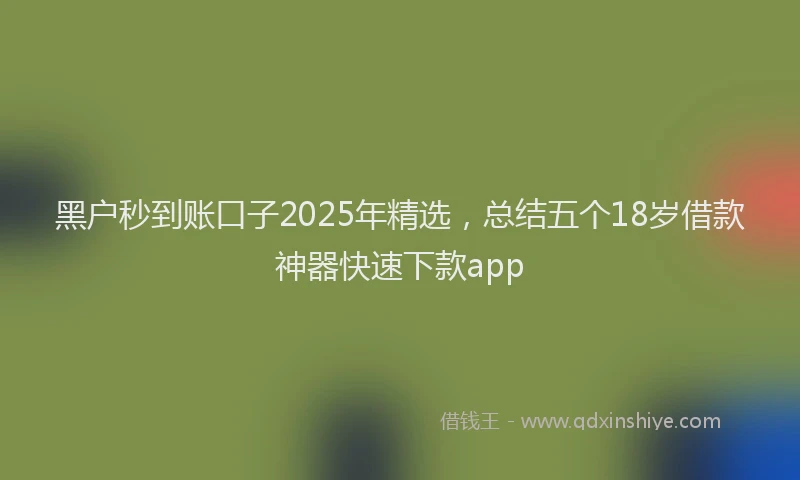 黑户秒到账口子2025年精选，总结五个18岁借款神器快速下款app
