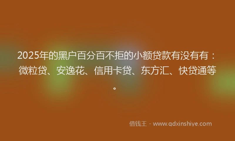 2025年的黑户百分百不拒的小额贷款有没有有：微粒贷、安逸花、信用卡贷、东方汇、快贷通等。