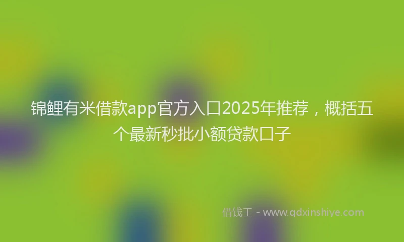 锦鲤有米借款app官方入口2025年推荐，概括五个最新秒批小额贷款口子