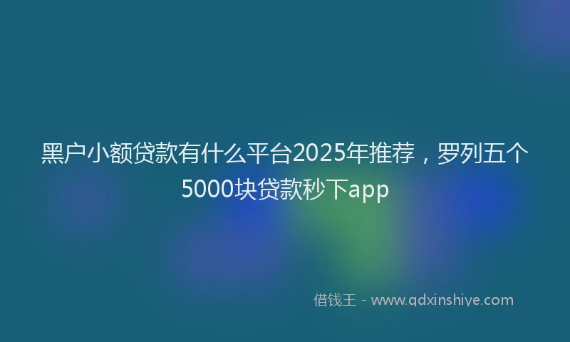 黑户小额贷款有什么平台2025年推荐，罗列五个5000块贷款秒下app