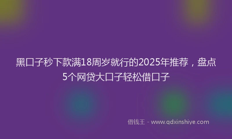 黑口子秒下款满18周岁就行的2025年推荐，盘点5个网贷大口子轻松借口子