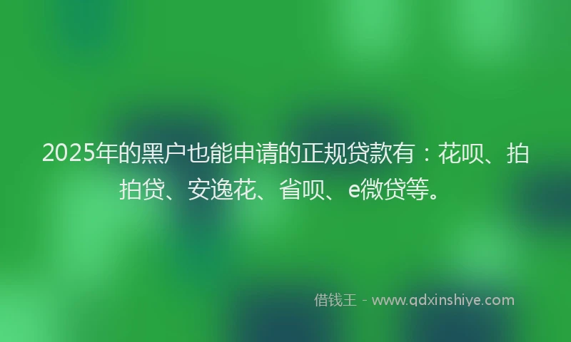 2025年的黑户也能申请的正规贷款有：花呗、拍拍贷、安逸花、省呗、e微贷等。