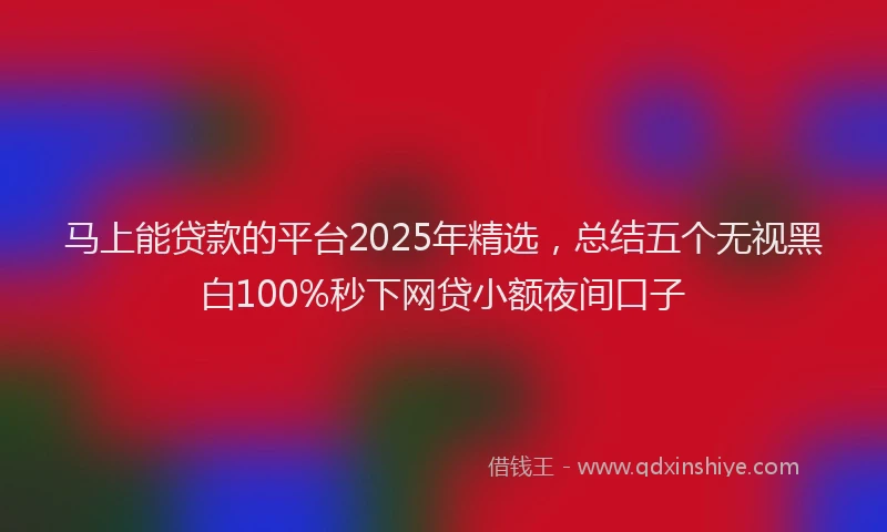 马上能贷款的平台2025年精选，总结五个无视黑白100%秒下网贷小额夜间口子