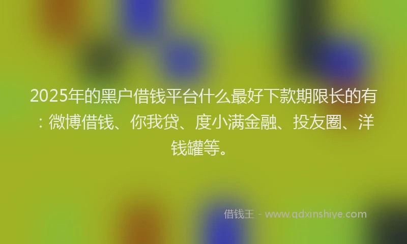 2025年的黑户借钱平台什么最好下款期限长的有：微博借钱、你我贷、度小满金融、投友圈、洋钱罐等。