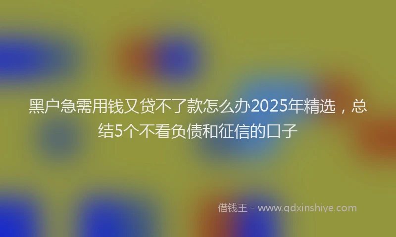 黑户急需用钱又贷不了款怎么办2025年精选，总结5个不看负债和征信的口子