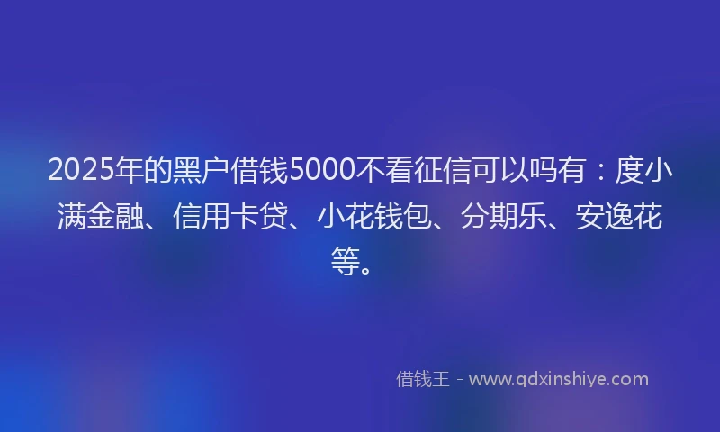2025年的黑户借钱5000不看征信可以吗有：度小满金融、信用卡贷、小花钱包、分期乐、安逸花等。