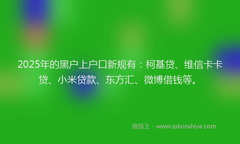 2025年的黑户上户口新规有：柯基贷、维信卡卡贷、小米贷款、东方汇、微博借钱等。