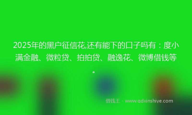 2025年的黑户征信花,还有能下的口子吗有：度小满金融、微粒贷、拍拍贷、融逸花、微博借钱等。